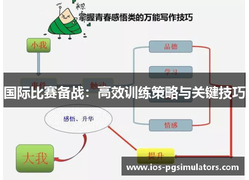 国际比赛备战：高效训练策略与关键技巧
