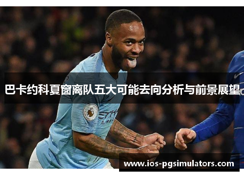 巴卡约科夏窗离队五大可能去向分析与前景展望