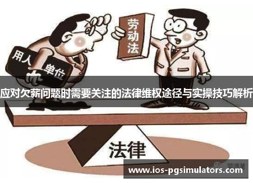 应对欠薪问题时需要关注的法律维权途径与实操技巧解析