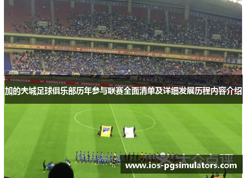 加的夫城足球俱乐部历年参与联赛全面清单及详细发展历程内容介绍
